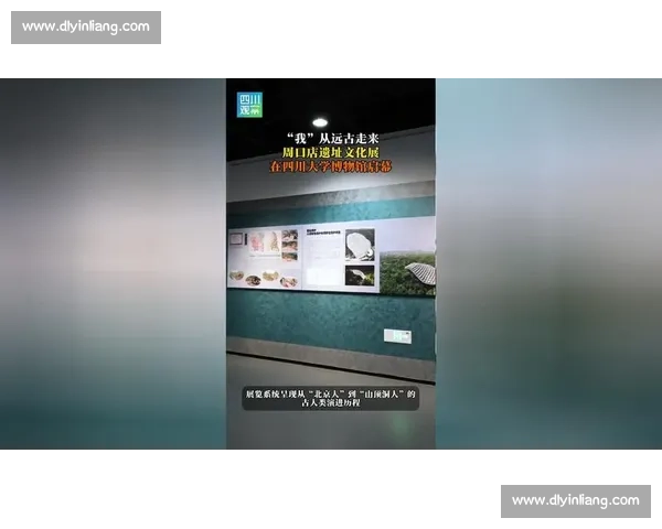 马车vs现代交通工具的历史碰撞与人类文明进化之路探索